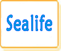 Sea & Sea Sealife High Capacity Rechargeable Digital Camera Batteries