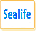 Sea & Sea Sealife Digital Camera Battery by Model Numbers